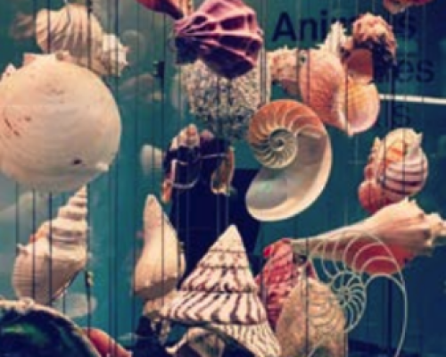 Screenshot 2025-05-02 at 2.52.37 AM